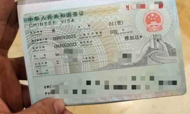 cara membuat visa china